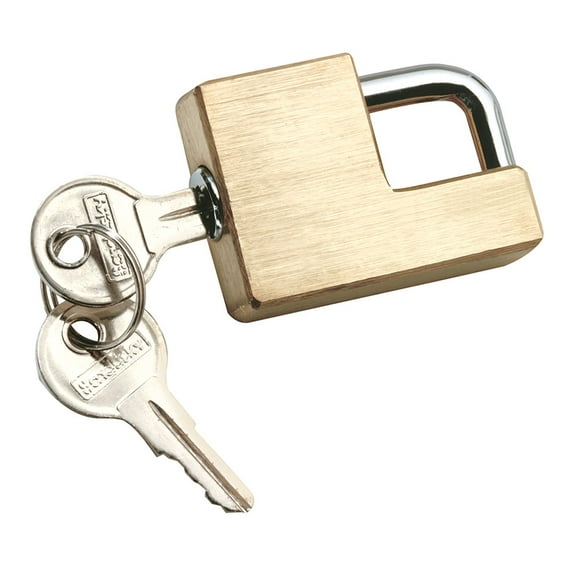 Reese Towpower 7005300 Brass Trailer Hitch Coupler Lock
