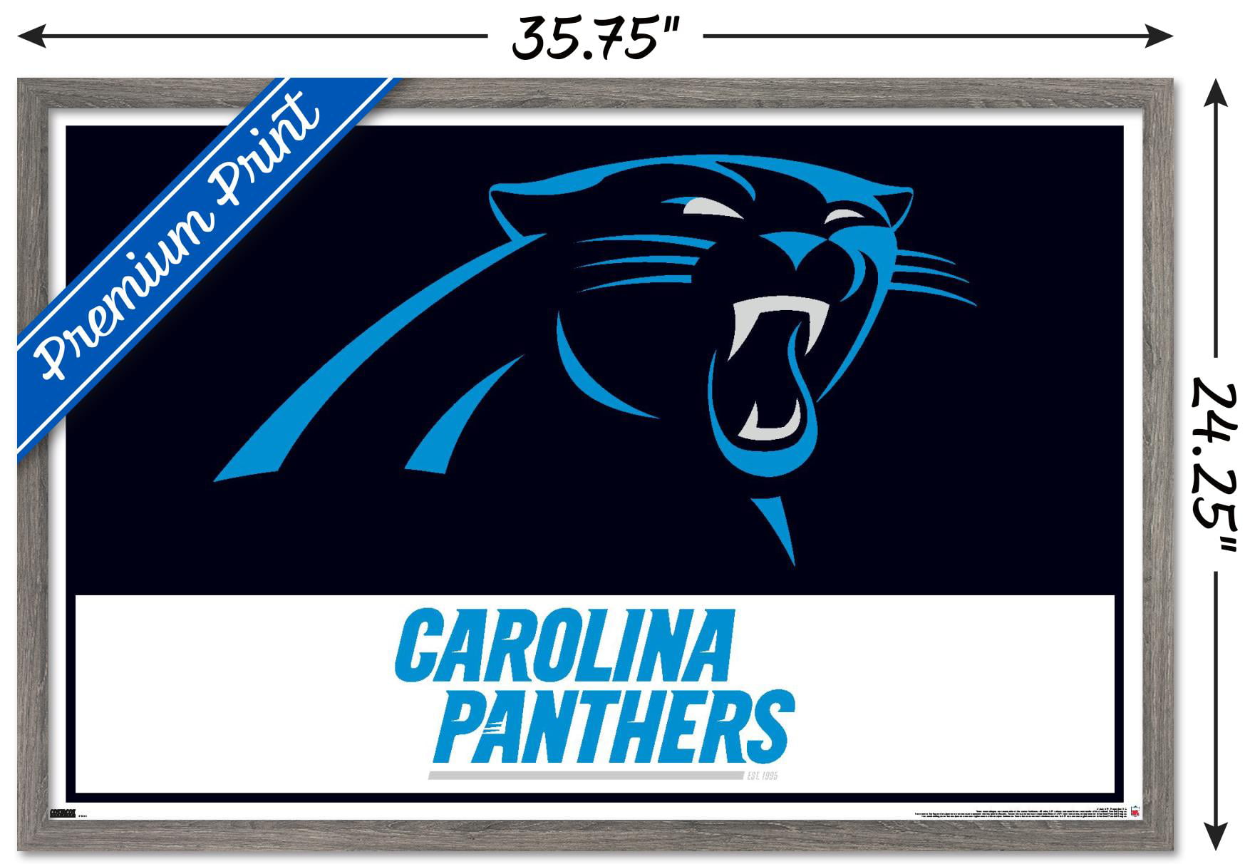 NFL Carolina Panthers - Logo 21 Wall Poster, 22.375' x 34' 