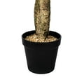 thumbnail image 4 of Vickerman 57" Artificial Green Cactus, Black Plastic Planters Pot., 4 of 5