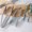 Gray Blue, variant on Kitchen Tongs Set of 3 | Food Grade Plastic | Gray Blue | High Temp , Nonstick | 9.92 in | Slotted Grill, Barbecue, Baking, Frying, Serving | Easy Clean Locking Clips