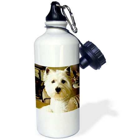 

3dRose Westie Sports Water Bottle 21oz