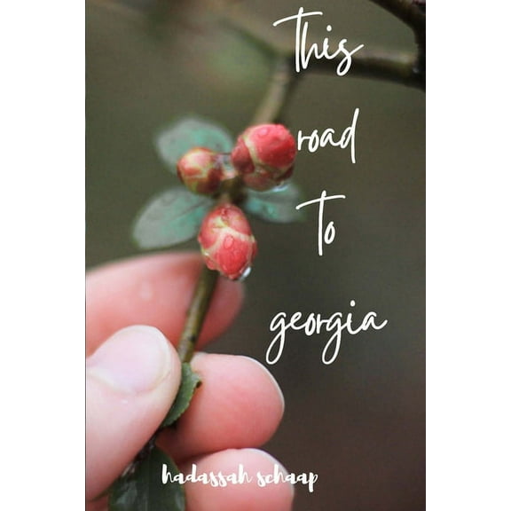 This Road to Georgia (Paperback)