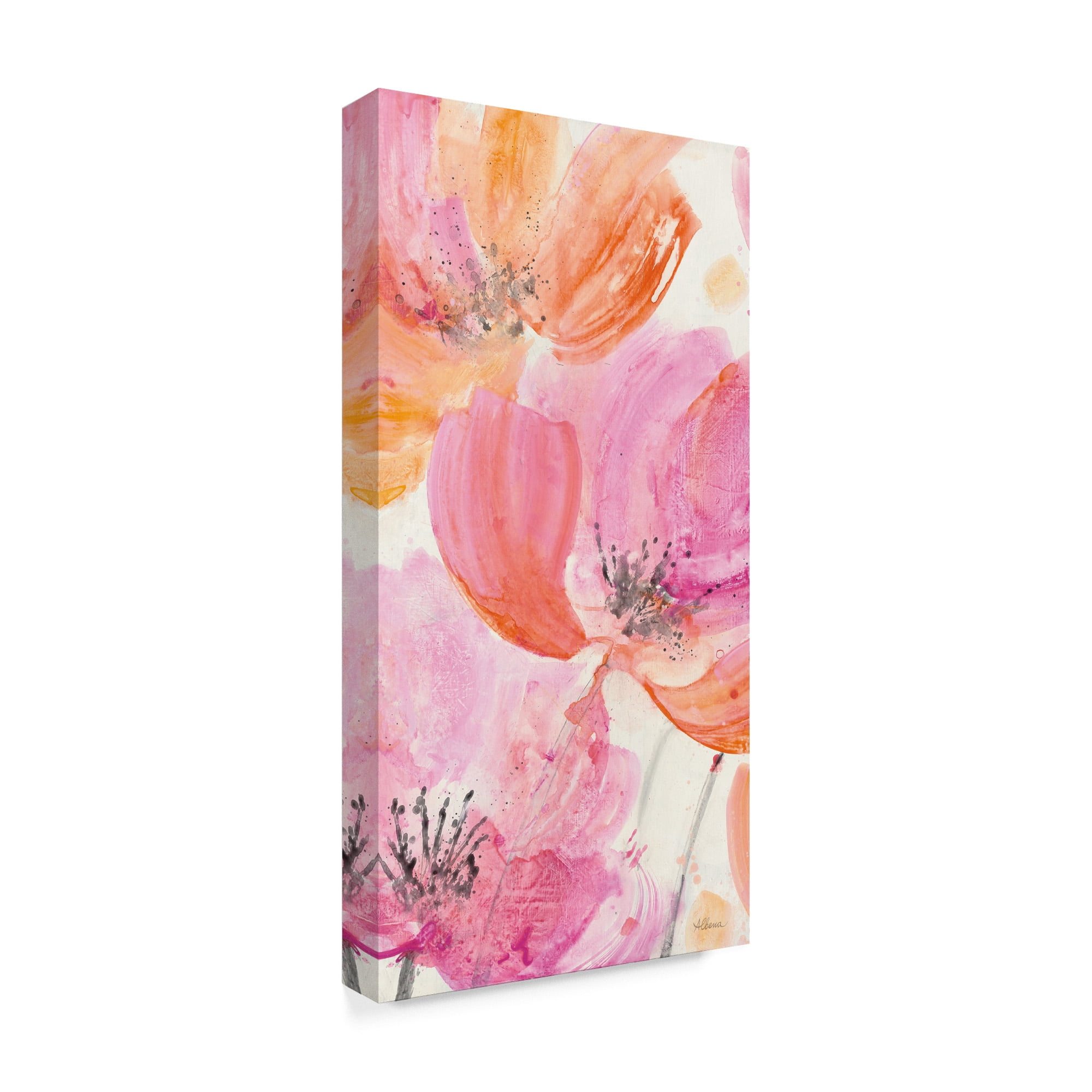 Trademark Fine Art 'Joyous I Crop' Canvas Art by Albena Hristova