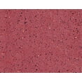 thumbnail image 6 of PROSOCO GemTone Stain | Translucent Color Dye for Interior Concrete Floors - ROSE QUARTZ 12 OZ, 6 of 6