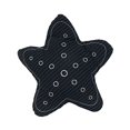 thumbnail image 2 of Old Modern Handicrafts AB004 Star Pillow - Blue, 2 of 4
