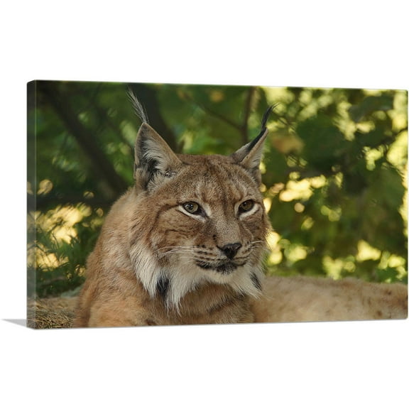 ARTCANVAS Lynx In Forest Home Decor Rectangle Canvas Art Print - Size: 12" x 8" (0.75" Deep)