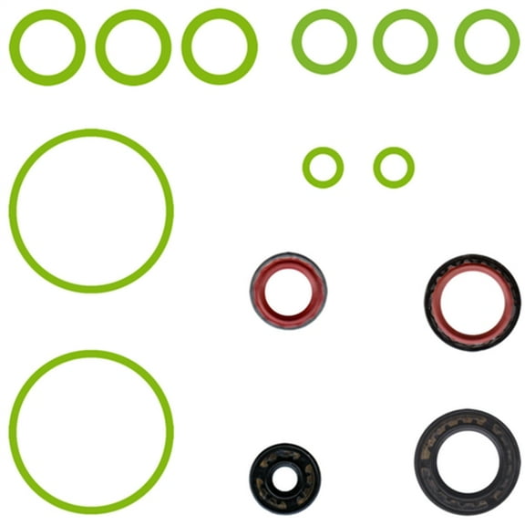 O-Ring & Gasket A/C System Seal Kit