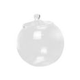 thumbnail image 4 of Glass Plant Container Decorative Micro Landscape Bottle for Tea Sugar Pepper, 4 of 8