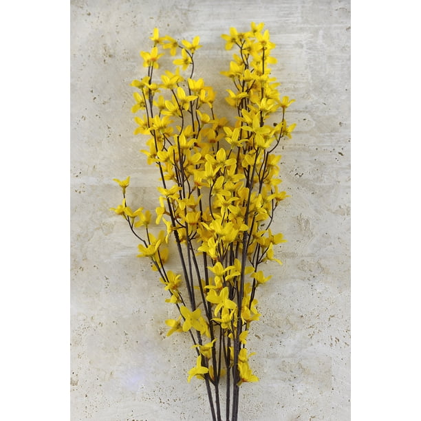 Mini Forsythia Bush Yellow 27 Inches Walmart Com Walmart Com