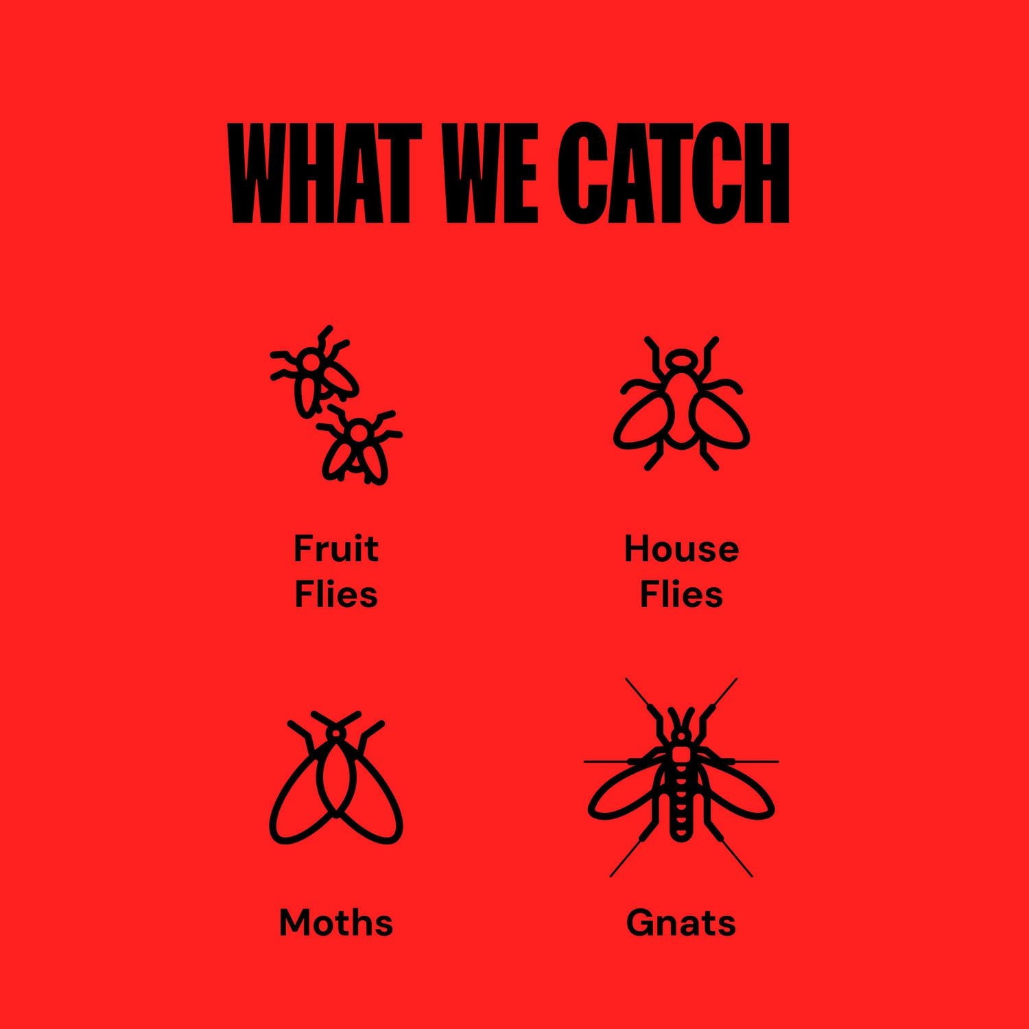 Dynatrap White Indoor Fly Trap