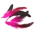 thumbnail image 4 of 50 lotes de plumas de gallo para disfraz, adornos para anillos, costura, manualidades, 12-18 cm, 4 of 9