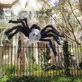 thumbnail image 6 of Halloween Spider Decorations Realistic Hairy Spiders Spider Props for Indoor, Outdoor and Yard Creepy Decor 75CM (30 Inch), 6 of 10
