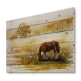 thumbnail image 2 of Designart 'Horse Eating Grass On A Meadow' Farmhouse Print on Natural Pine Wood, 2 of 5