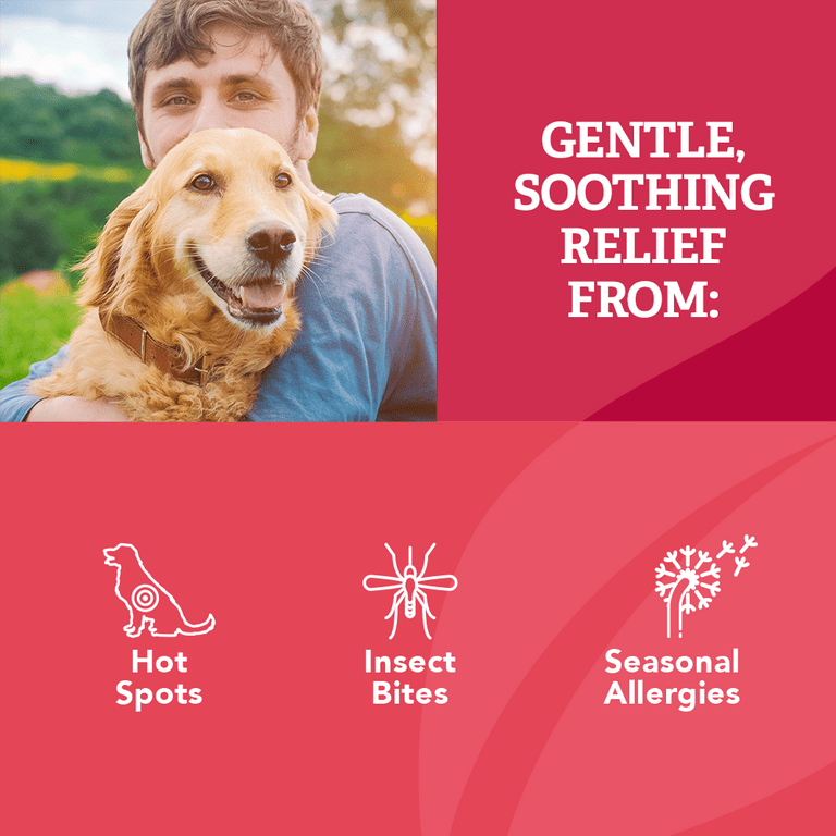 Natural hot spot treatment for dogs online