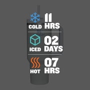 Stanley Quencher H2.0 Flowstate Stainless Steel Double Wall Insulated Tumbler 40 oz. Rose Quartz