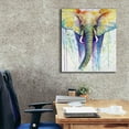 thumbnail image 3 of Epic Graffiti 'Elephant Colors' by Michelle Faber, Canvas Wall Art, 26"x30", 3 of 8