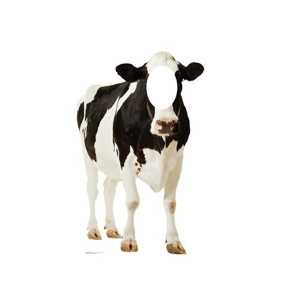 Advanced Graphics Cow Cardboard Cutout Life Size Stand-In