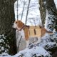 thumbnail image 3 of Dog Pack Hound Travel Camping Senderismo Mochila Saddle Bag Mochila para perros medianos y grandes (Caqui), 3 of 6