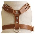 thumbnail image 2 of Genuine Leather Dog Harness, 25"-30" Chest, 1" Wide Adjustable Straps for Medium and Large Dogs, 2 of 3