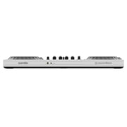 Pioneer DJ DDJ-FLX10-W 4-Channel DJ Controller White with Road Case Package