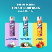Lysol Brand New Day Disinfectant Spray, Sanitizing and Antibacterial Bathroom Spray, Deodorizer, Coconut Water & Sea Minerals, 19 oz