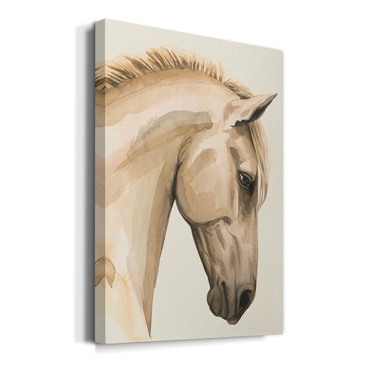 Golden Palomino I Premium Gallery Wrapped Canvas - Ready to Hang