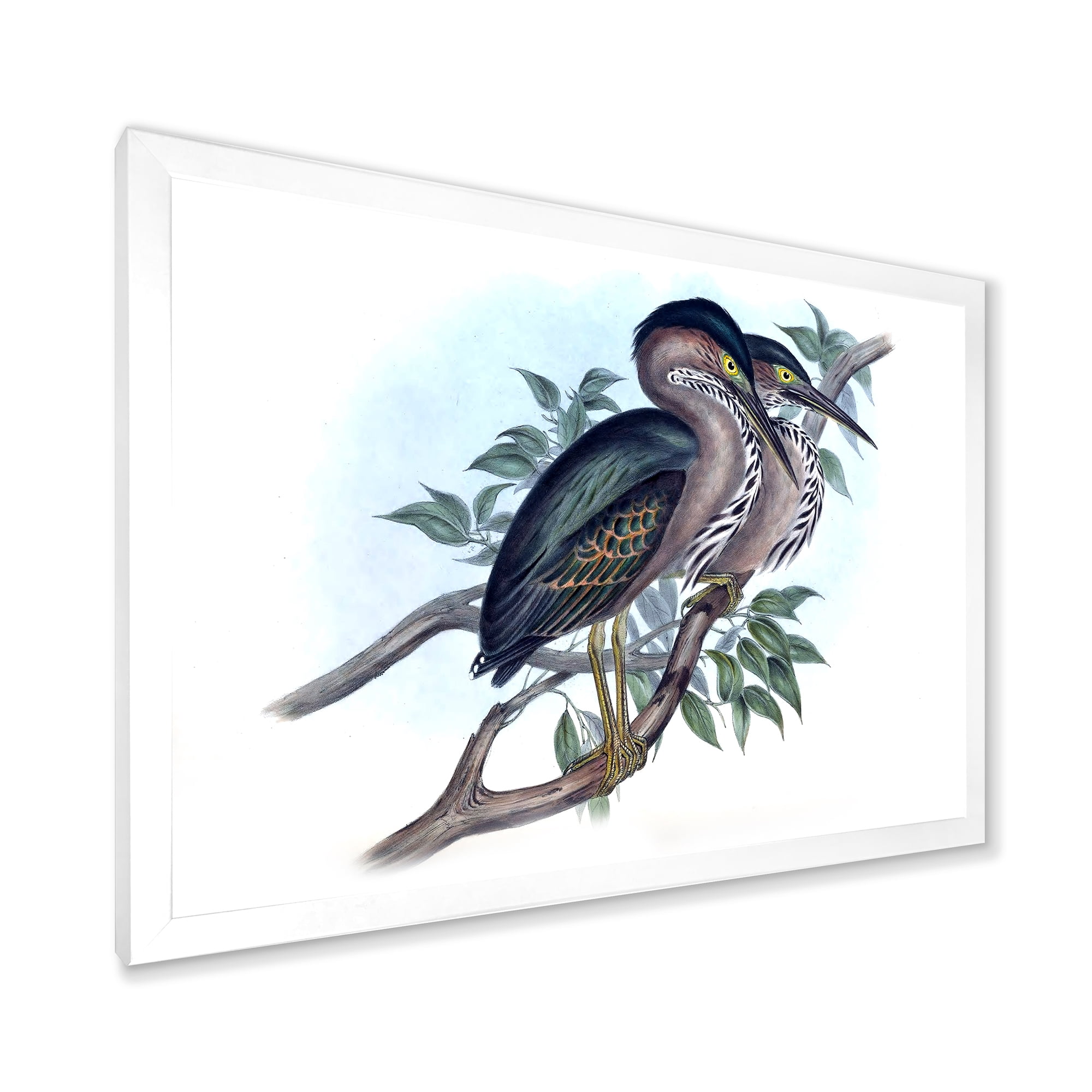 Designart 'Ancient Australian Birds VII' Traditional Framed Art Print