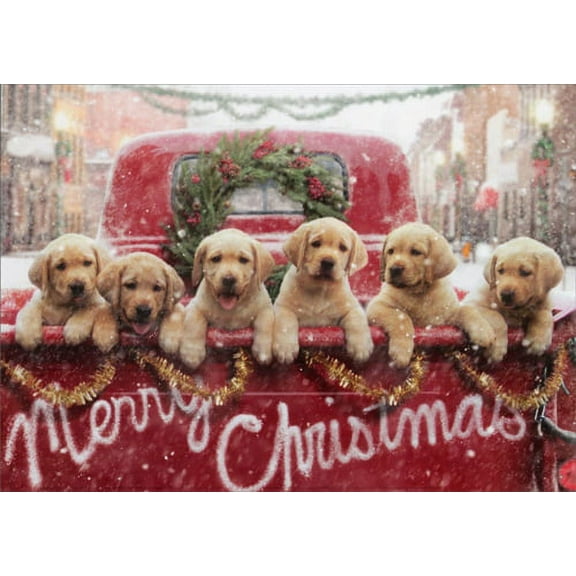 Avanti Press Lab Puppies In Red Truck Dog Christmas Card (1 card/1 envelope)