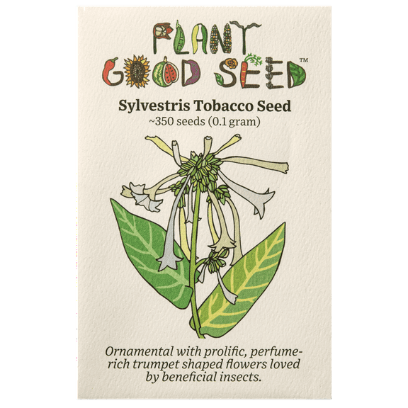 Plant Good Seed Sylvestris Woodland Tobacco Seeds: White Perfume Flowers, Night Blooming Perennial