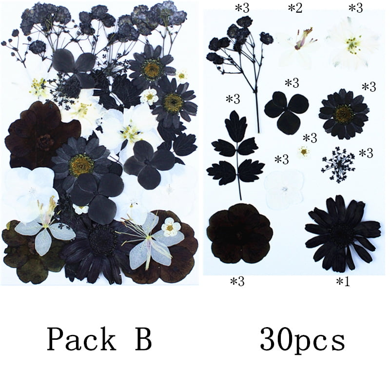 Dalrosia Black Dried Pressed Flowers for Resin Molds, Bulk Real Natural Dry Floral for DIY Art Crafts, Epoxy Jewelry, Candle, Nails Decor, Phone Case,Soap Making