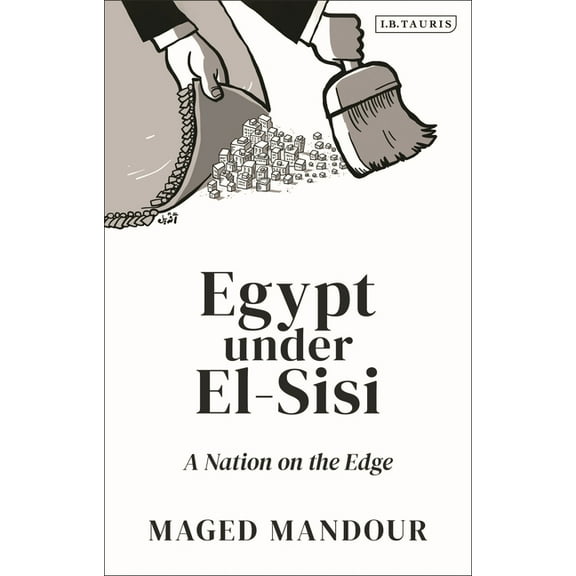 Egypt Under El-Sisi: A Nation on the Edge (Hardcover)
