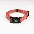 thumbnail image 4 of Alpha Pak - Everyday Adventure Dog Collar, 4 of 7