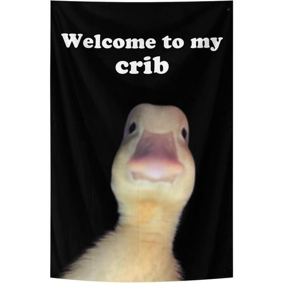 Welcome to My Crib Funny Tapestry Self-Improvement Tapestry Aesthetic Cute Room Decor Anime Tapestry Birthday Decorations Wall Hanging Gifts for Teen Girl Bedroom Living Room