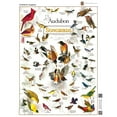 thumbnail image 5 of MasterPieces 1000 Piece Jigsaw Puzzle - Audubon Songbird - 19.25"x26.75", 5 of 6