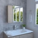 thumbnail image 2 of Gabinete de Baño Apolis, Miel, con Puerta Espejo Virtual Muebles, 2 of 6