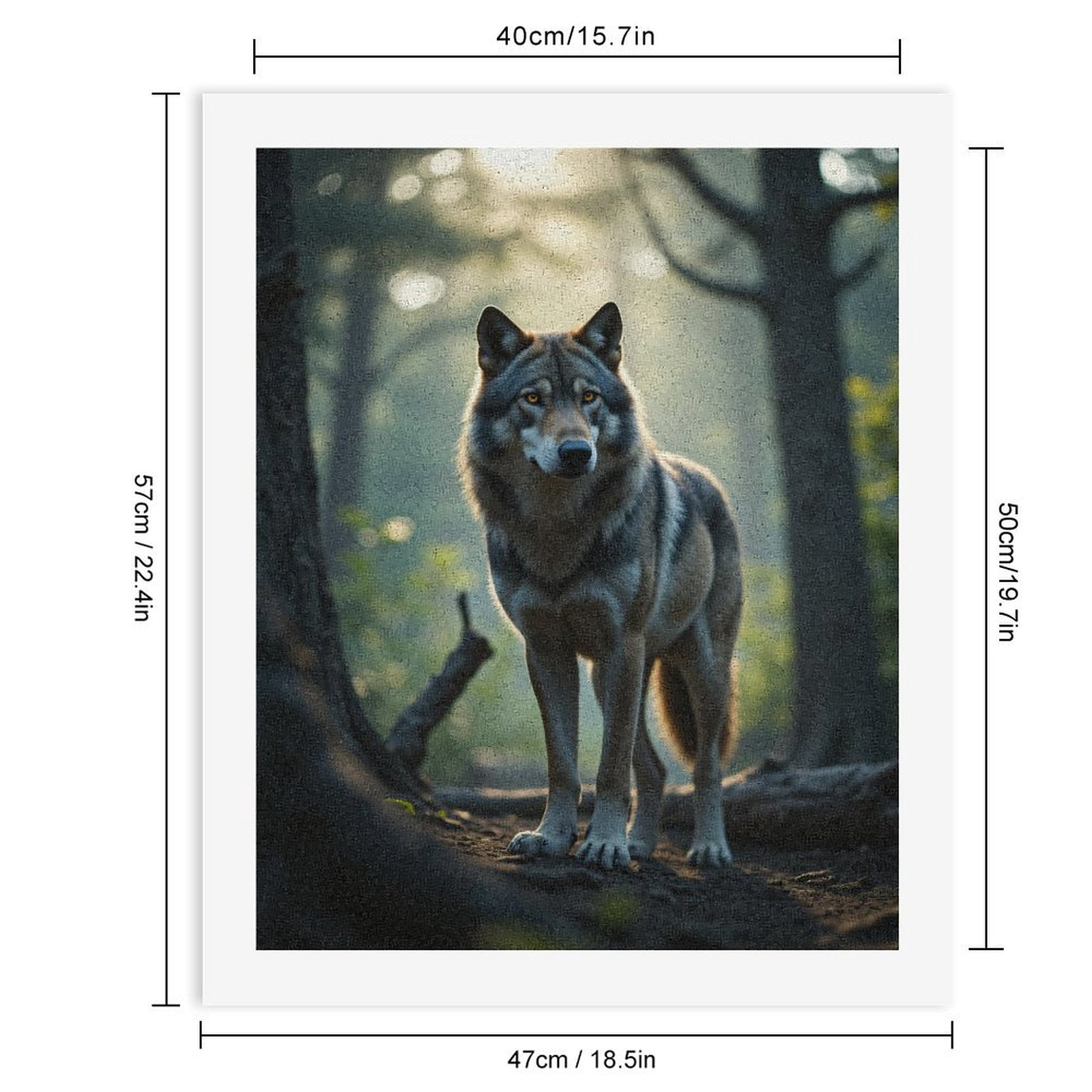 Paint By Numbers Kit for Adults Beginner - DIY Forest Wolf In Sunlight Canvas Painting Kits for Adults, Frameless Paint By Number for Adults for Home Wall Decor 16x20 Inch