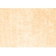 thumbnail image 1 of Ahgly Company Indoor Rectangle Solid Orange Modern Area Rugs, 2' x 4', 1 of 1