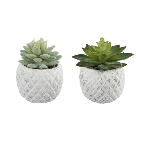 SET OF 2 Pineapple Pot Succ