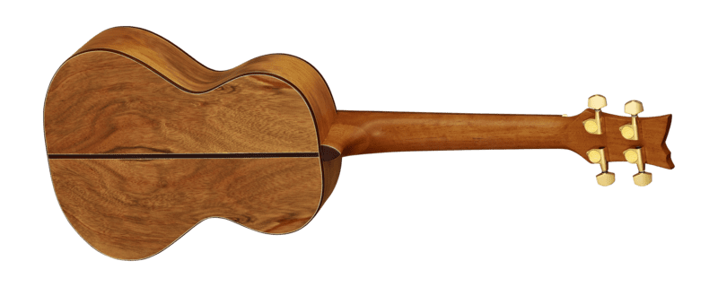 Lizard Series Tenor Acoustic-Electric Ukulele with Bag
