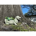 thumbnail image 4 of Zeckos Grey Stone Finish Dachshund Dog Indoor Outdoor Planter, 4 of 10