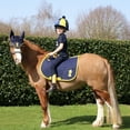 thumbnail image 3 of Little Knight Lancelot Horse Saddlepad, 3 of 4
