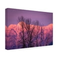 thumbnail image 2 of Pierre Leclerc Photography 'Pink Mountains' Canvas Art, 2 of 4