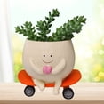 thumbnail image 3 of Maceta colgante macetas suculentas creativas y bonitas para plantas de interior y exterior, 3 of 4