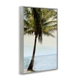 thumbnail image 3 of Stupell Industries Honduras Coast Palm Tree Gray Framed Giclee Art design by Natalie Carpentieri, 18 x 12, 3 of 8