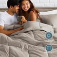 thumbnail image 5 of Bare Home Down Alternative Comforter Set - 3-Pieces - All Seasons - King, Khaki, 5 of 9