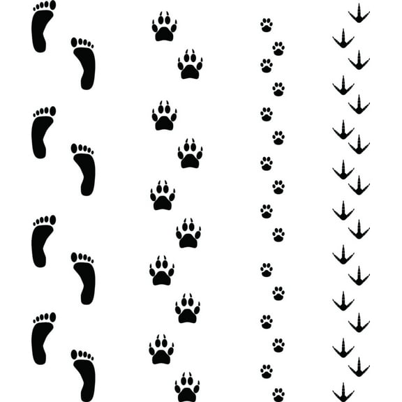 Design With Vinyl Artwork animal Bird Dog Cat Fox Paw Prints Animal Tracks Wall Decal for Children - Coyote's Prints Claw Marks Themed Décor - Size: 38 In x 38 In