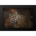 thumbnail image 2 of Kalathas, Nick 18x13 Black Modern Framed Museum Art Print Titled - These Eyes, 2 of 5