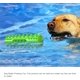 thumbnail image 5 of Juguete Masticable para Cachorros JAMW Indestructible TPR, 5 of 5