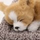 thumbnail image 4 of Accesorios para tablero de automóvil, lindo perro de peluche realista durmiendo sobre tapete, adorno decorativo para el interior del automóvil, cachorro de peluche, 4 of 8