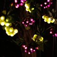 thumbnail image 3 of Cadena de luces LIDORE Grape Vine 100 LED para decoración del hogar, 3 of 7